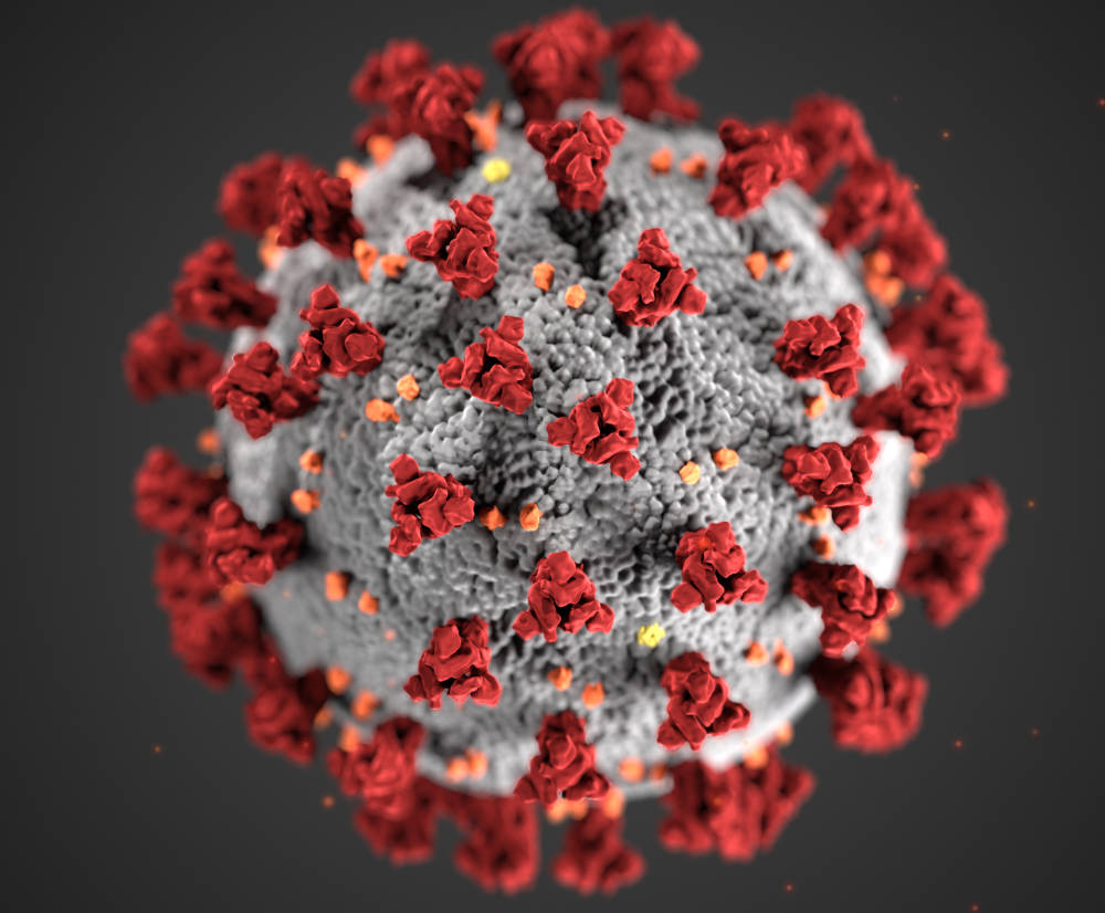 coronavirus